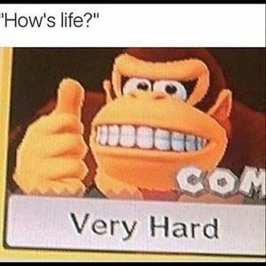 Meet your Posher, Dylan